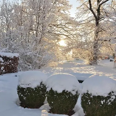 Oda ve Kahvaltı Ammann Marika 3*