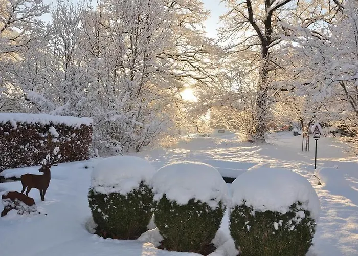 Bed & Breakfast Ammann Marika 3*